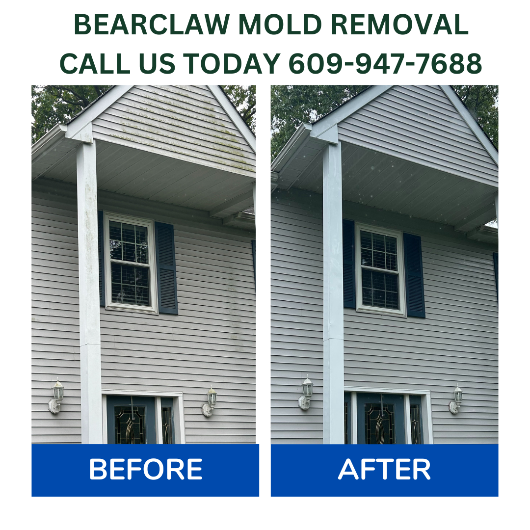 Say Goodbye to Mold in Hard-to-Reach Places — Trust the Experts at BearClaw Power Washing in Hamilton, NJ